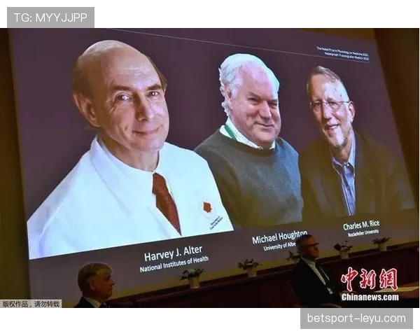 赖斯职业生涯预测引发关注，专家展望其未来发展前景