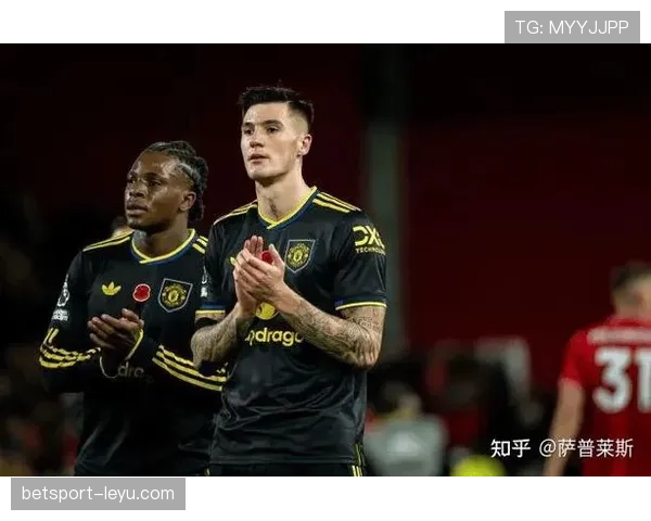 诺丁汉森林新赛季阵容深度解析:潜力与挑战并存 诺丁汉森林新赛季阵容深度解析:潜力与挑战并存